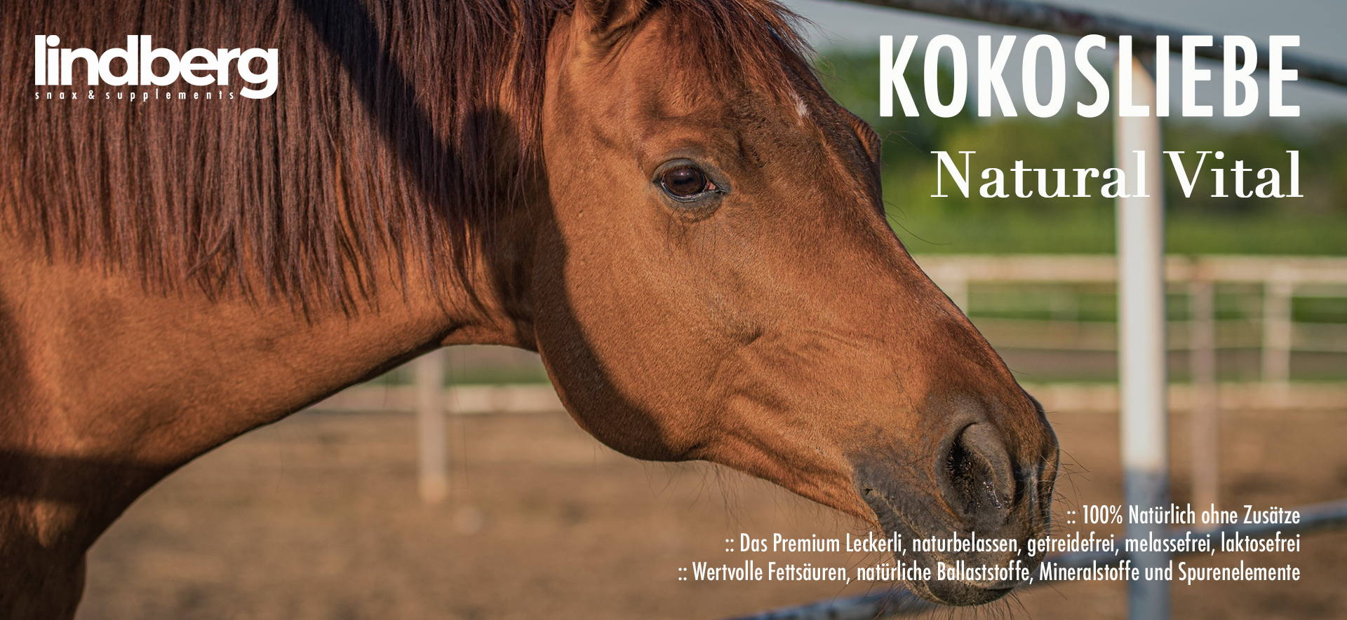 Kokosliebe Kokos Sticks Pferd Pony Hund